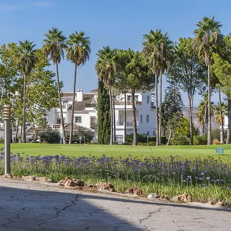 Cubo's Oasis Lauro Golf
