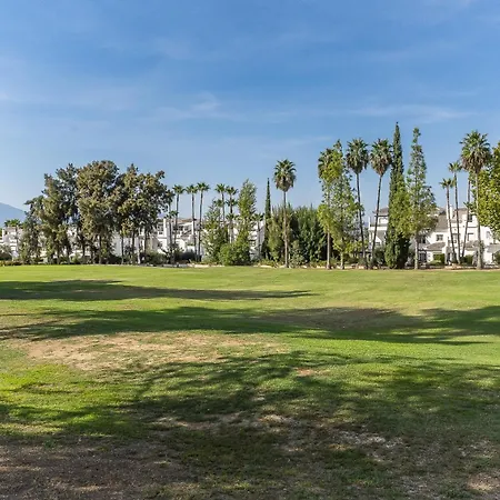 Cubo's Oasis Lauro Golf *